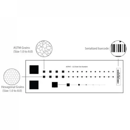 DCI10