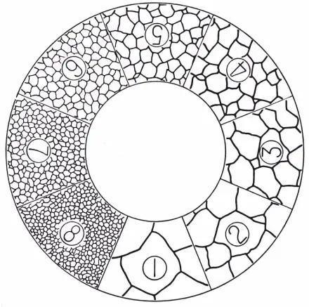 Grain Size Microscope Eyepiece Reticle