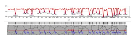 Line-Profile