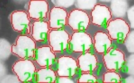 iamaster_cut02.jpg