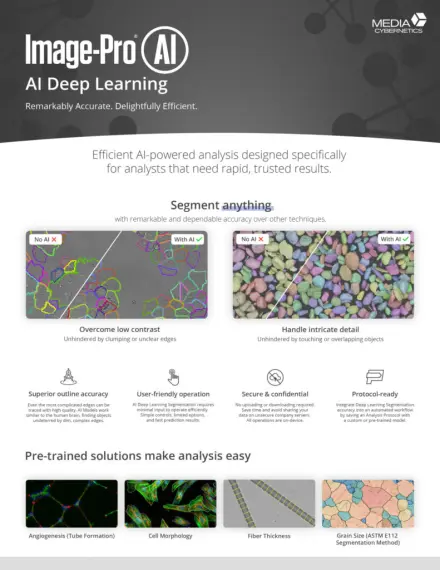 AI Deep Learning PDF DATA SHEET