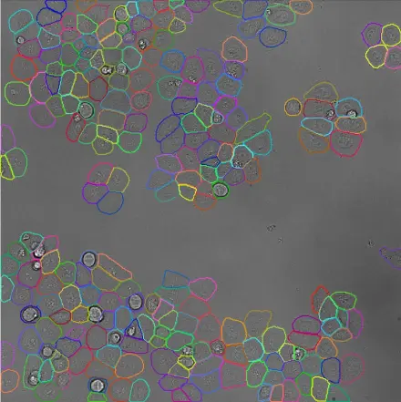 Label Free Cells