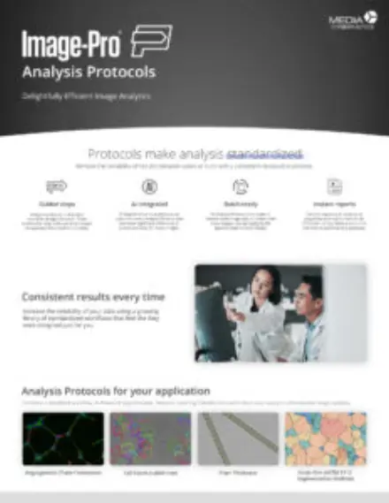 Image-Pro Analysis Protocols Data Sheet