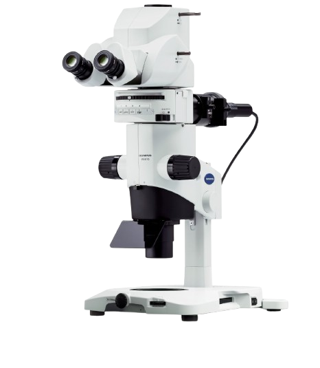 Product list contains MVX10