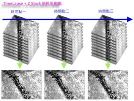 Z-STACK影像堆叠拍照控制系统