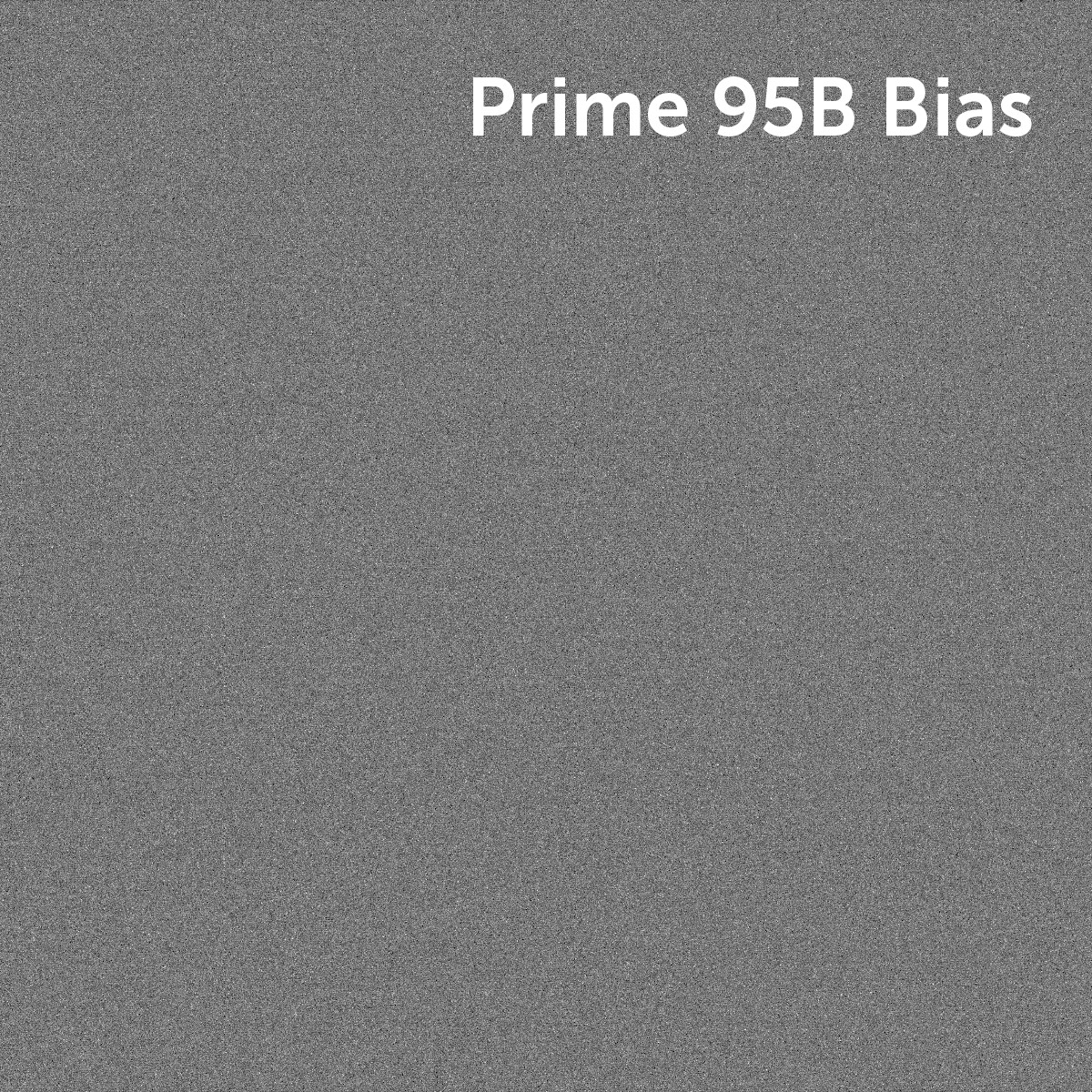 Prime-95B-bias