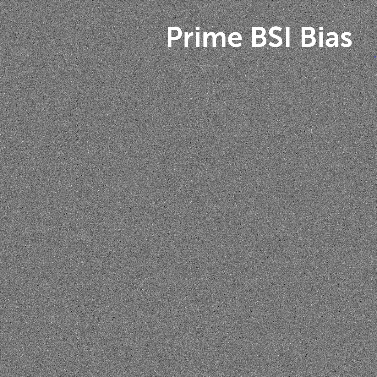 Prime-BSI-bias
