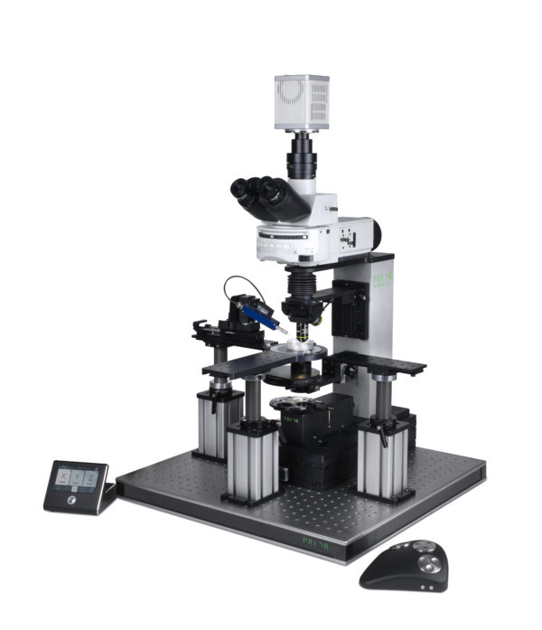 OpenStand For Electrophysiology