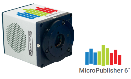 QIMAGING MicroPublisher 6 ™ CCD